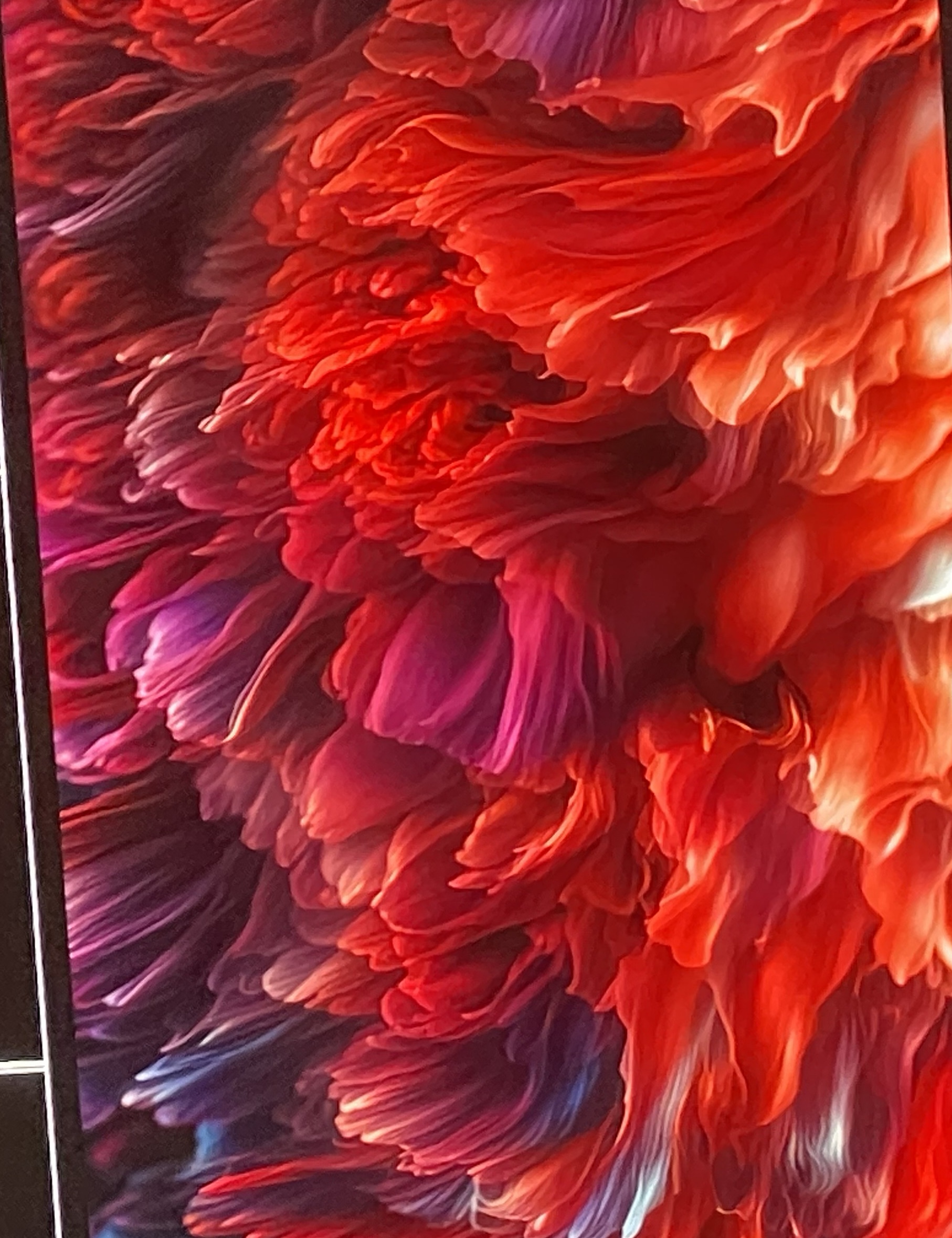 Dense red and magenta flower bloom, petals like flowing fabric